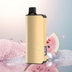 Alibarbar Ingot 9000 Puffs Arbuzowy Lód 22ml 2350mAh