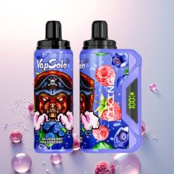 VapSolo VIKING 12000 Puffs Borówka Malina Typ-C 22ml