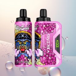 VapSolo VIKING 12000 Puffs Letnia Marzenie 22ml Type-C
