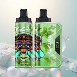 VapSolo VIKING 12000 Puffs Świeża Mięta Typ-C 22ml