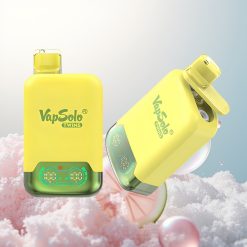 Vapsolo Twins 20000 Puffs Ananas Kokos & Arbuz Lód z 40 ml i Type-C
