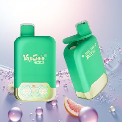 Vapsolo Twins 20000 Puffs Borówka Czarna & Grejpfrut Orzeźwiający z 40 ml i Typ-C